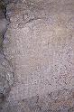 Carthage - Oued Milliane 100_6331